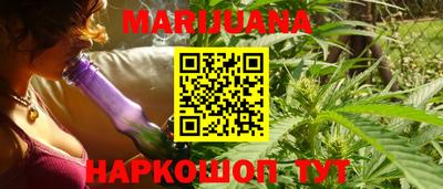 сатива Краснознаменск