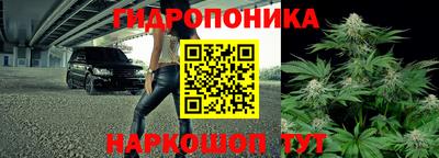 сатива Краснознаменск
