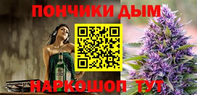 сатива Краснознаменск