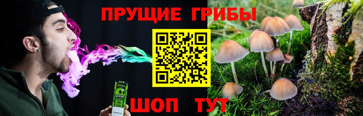 Псилоцибиновые грибы GOLDEN TEACHER Тутаев